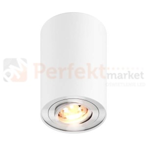 Oprawa sufitowa Spot Rondoo 45519 biała Zuma Line- żarówka LED gratis!