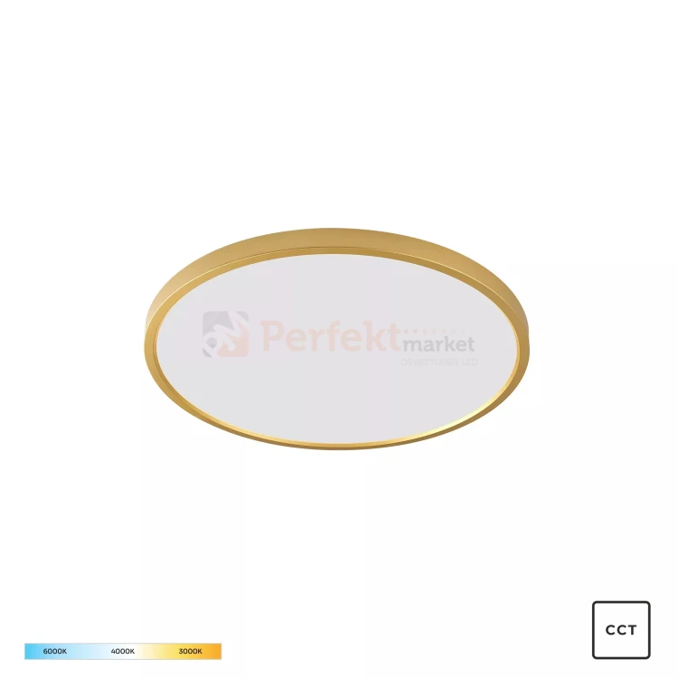 Lampa sufitowa plafon złoty LED CAMI 35,6W 40cm CCT Zuma Line perfektmarket (2).webp