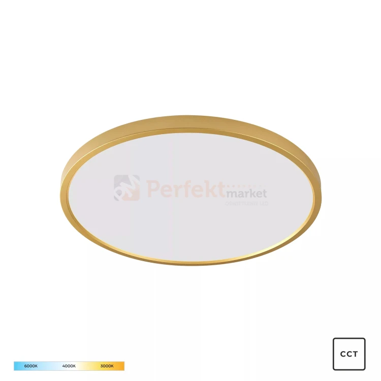 Lampa sufitowa plafon złoty LED CAMI 52W 60cm CCT Zuma Line perfektmarket (2).webp