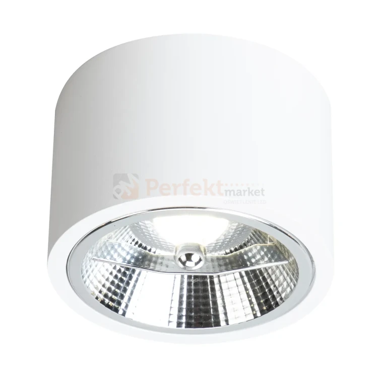 Oprawa sufitowa downlight tuba Redondo White 1xAR111 GU10 ML1075 biała perfektmarket (6).webp