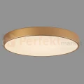 5361-860RC-GD-3 PERFEKT MARKET OLSZTYN (1).webp