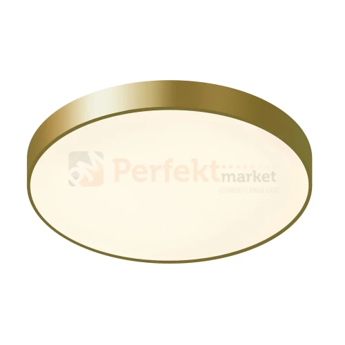 5361-860RC-GD-3 PERFEKT MARKET OLSZTYN (3).webp