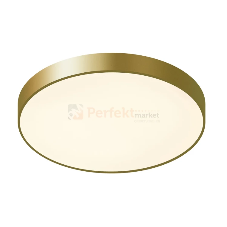 5361-860RC-GD-3 PERFEKT MARKET OLSZTYN (3).webp