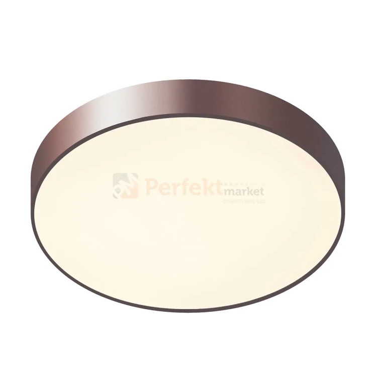 5361-830RC-CO-3 PERFEKT MARKET OLSZTYN (1).webp