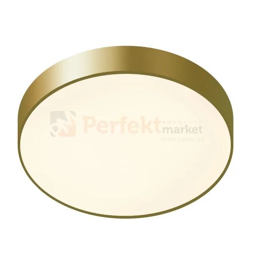 5361-830RC-GD-3 PERFEKT MARKET OLSZTYN (2).webp