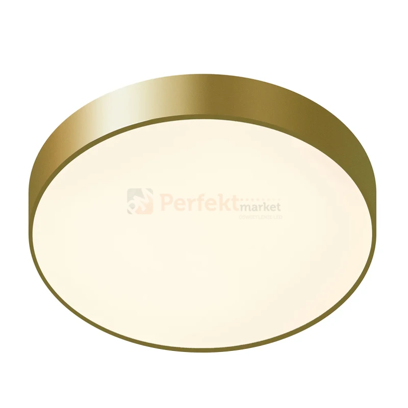 5361-830RC-GD-3 PERFEKT MARKET OLSZTYN (1).webp