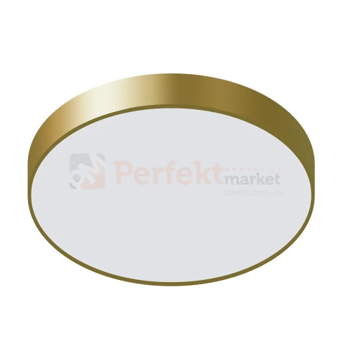 5361-830RC-GD-3 PERFEKT MARKET OLSZTYN.webp