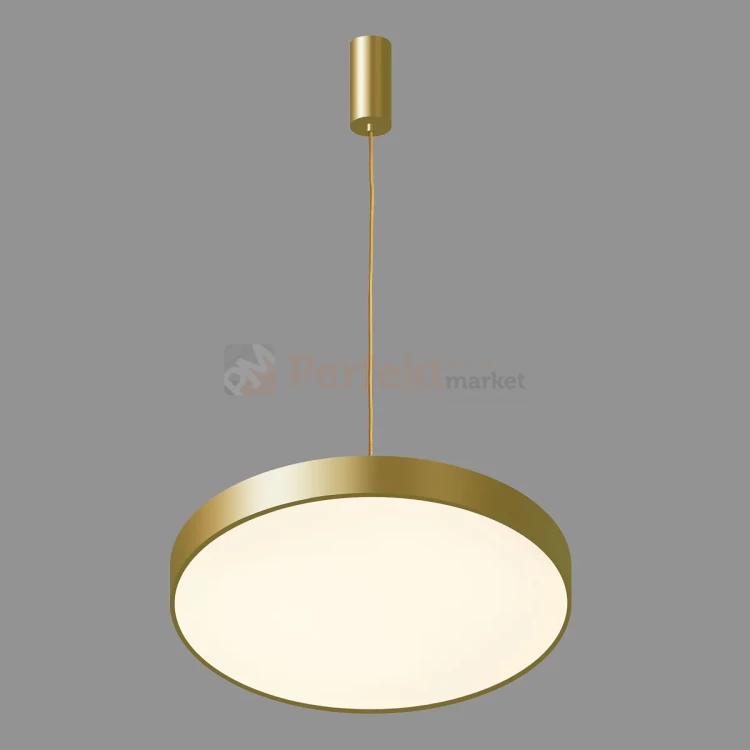5361-830RP-GD-3 PERFEKT MARKET OLSZTYN (1).webp