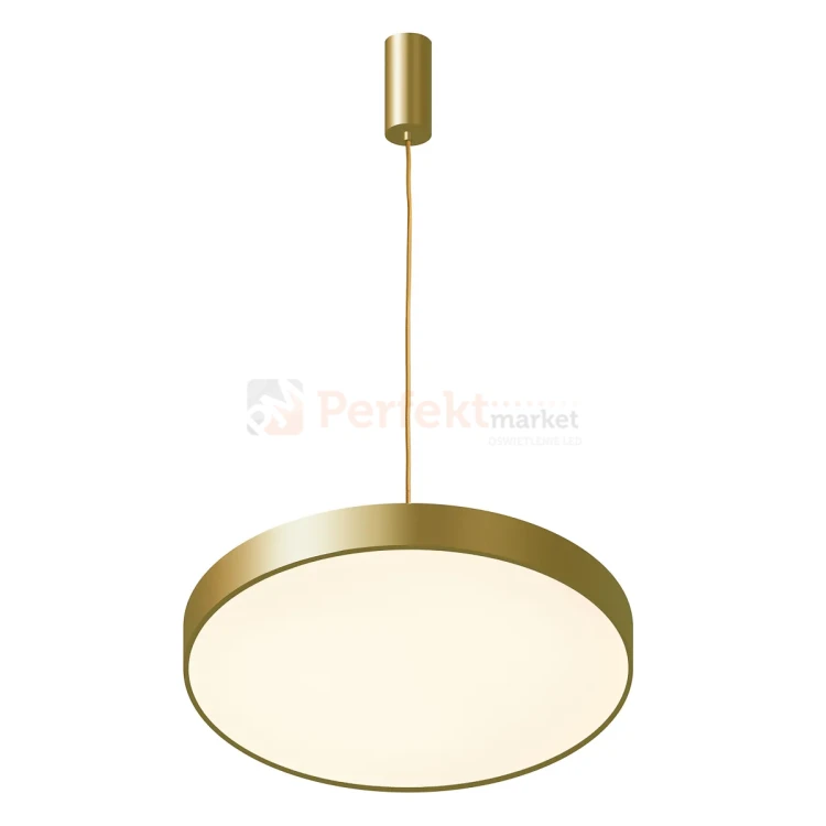 5361-830RP-GD-3 PERFEKT MARKET OLSZTYN (2).webp