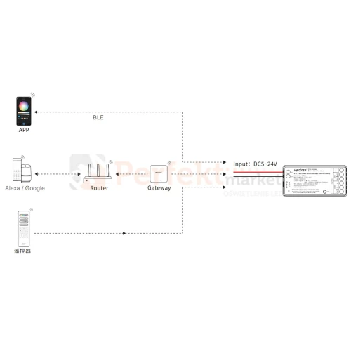SPIB5 diagram 2.webp