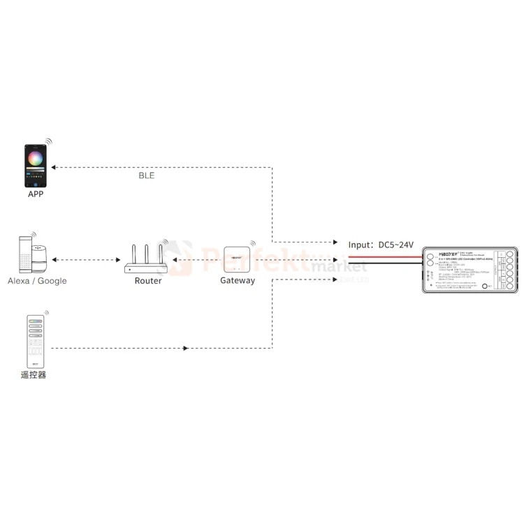 SPIB5 diagram 2.webp