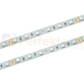 ID-2414-50M PERFEKT MARKET OLSZTYN.webp
