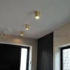 oprawa sufitowa tuba LED złota regulowana IP20 perfektmarket (7).webp