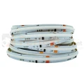 Cyfrowa taśma COB 784 LED 24V 21W/m RGBW IP20 10mm WS2814 (rolka 5m) perfekt market olsztyn