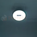 ID-4600-01 PERFEKT MARKET OLSZTYN (6).webp