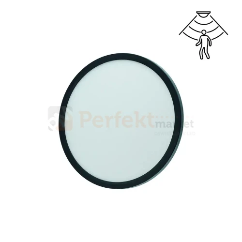 ID-4620-01 PERFEKT MARKET OLSZTYN.webp