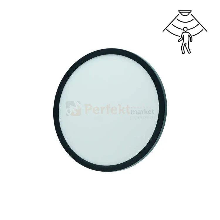 ID-4620-01 PERFEKT MARKET OLSZTYN.webp