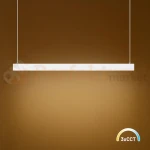 ML1783 PERFEKT MARKET OLSZTYN (9).webp