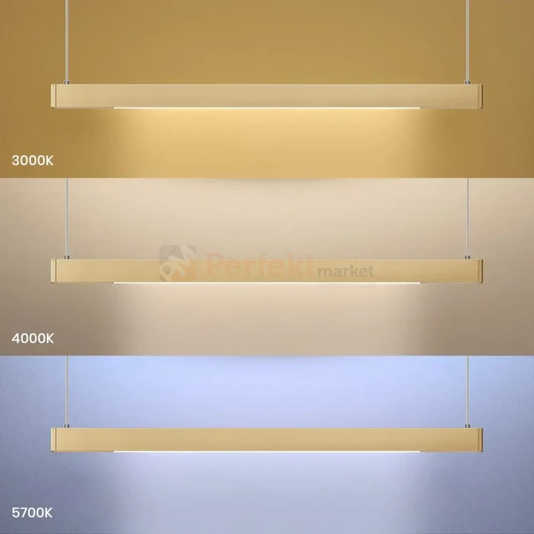 ML1785 PERFEKT MARKET OLSZTYN (6).webp