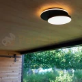 GOLETA lampa ścienno sufitowa zewnętrzna ciemnoszary LED 3000K IP54 Lutec perfektmarket (26).webp