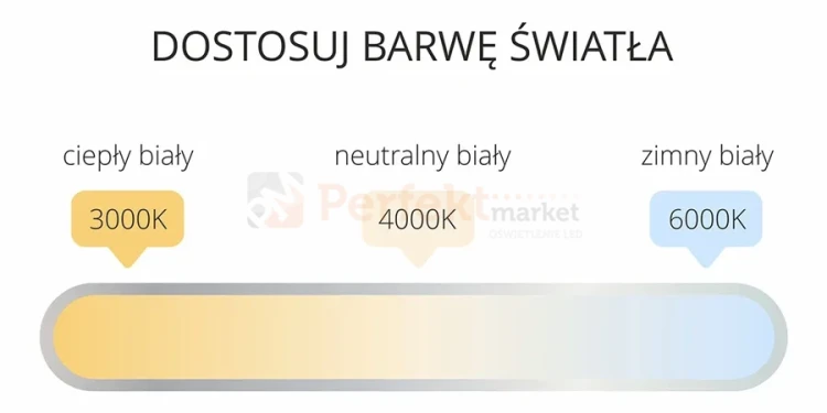 828189 PERFEKT MARKET OLSZTYN