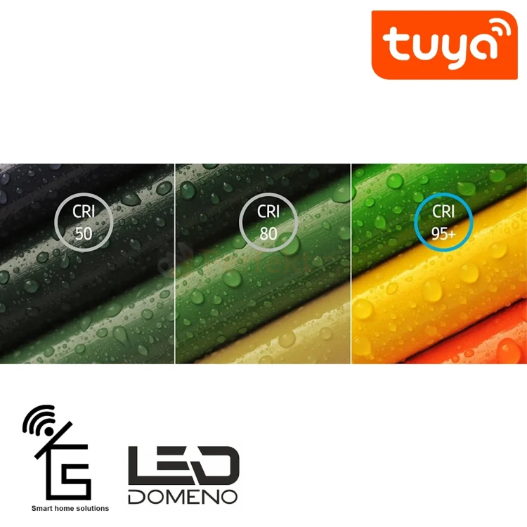 828110 PERFEKT MARKET OLSZTYN