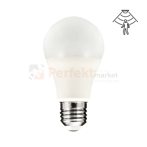 308832 PERFEKT MARKET OLSZTYN