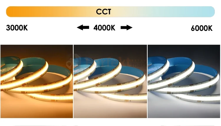 ID-2379-10M PERFEKT MARKET OLSZTYN