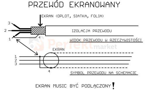 Bez tytułu.webp