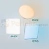nymphea-fusion-1.webp