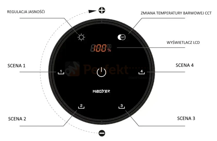 NOWE.webp