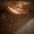 Plafon sufitowy HAVANA L 11172 Nowodvorski Lighting naturalne drewno klosz bambusowy 1xE27 - 2
