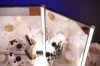 profil aluminiowy meblowy oświetlenie_led led głęboki szeroki szerszy napowierzniowy nawierzchniowy nakladany dileda biały lakierowany perfektmarket olsztyn