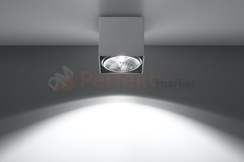 spot downlight plafon balke SL.0698 light perfektmarket.jpg