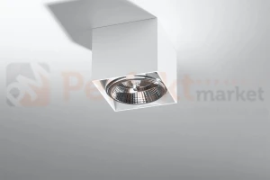 Oprawa sufitowa downlight Blake AR111 ES111 ruchoma pojedyncza biała SL.0698