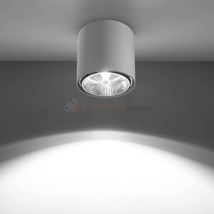 spot downlight plafon tube SL.0695 light 2 perfektmarket olsztyn.jpg