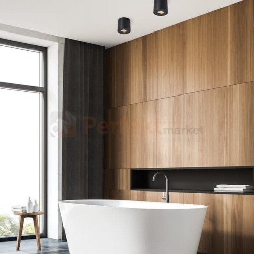 pol_pl_LAMPA-WEWNETRZNA-SPOT-ZUMA-LINE-RONDIP-SL-SPOT-ACGU10-159-1523_1.jpg