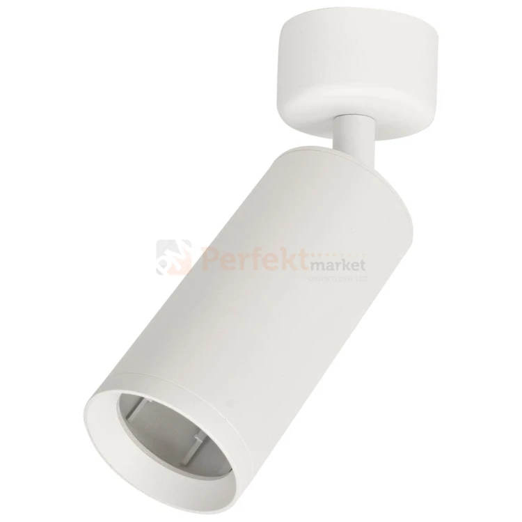 Spot MICA WHITE 1xGU10 ML6087