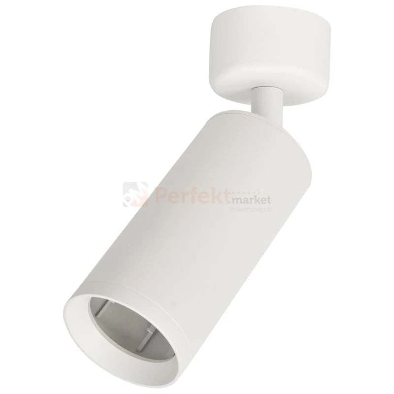 Spot MICA WHITE 1xGU10 ML6087