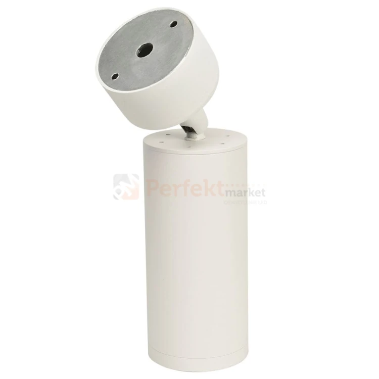 Spot MICA WHITE 1xGU10 ML6087