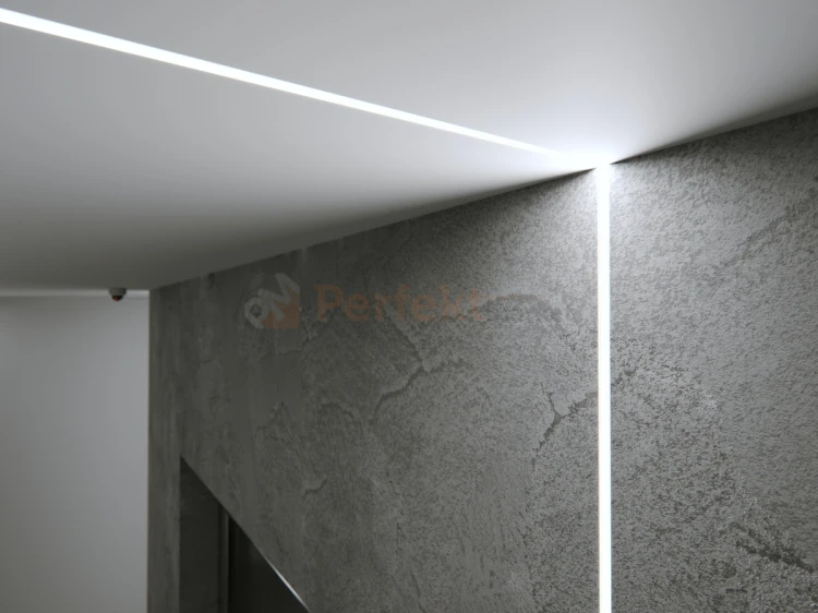 profil do suchaj zabydowy linia swietlna led mono lumines srebrny wizualizacja 2 perfektmarket .jpg