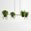 Lampa wisząca KUKKIA CZARNA TH.004CZ Sollux