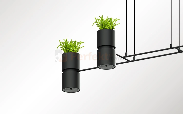 Lampa wisząca KUKKIA CZARNA TH.004CZ Sollux