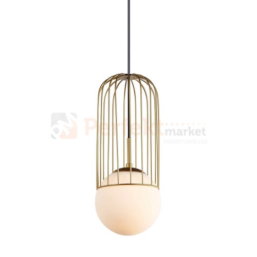 MDM-3939_1 GD.jpg