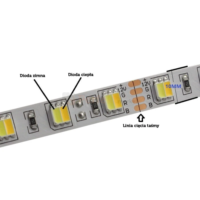 Taśma LED CCT multi white SMD 5025 WW/NW/CW  24V