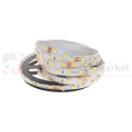 taśma led 24V cct 5025 ip20 300 smd profesjonalna perfektmarket olsztyn.jpg