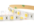 taśma led 24V cct bicolor 5025 ip20 300 smd profesjonalna perfektmarket olsztyn.jpg