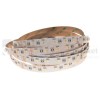 taśma led rgbw 4w1 24v 12mm profesjonalna perfektmarket 3.jpg