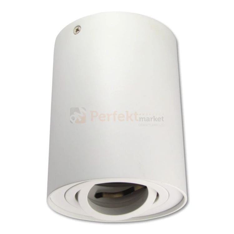 oprawa sufitowa natynkowa tuba led regulowana biała perfektmarket olsztyn 3.jpg