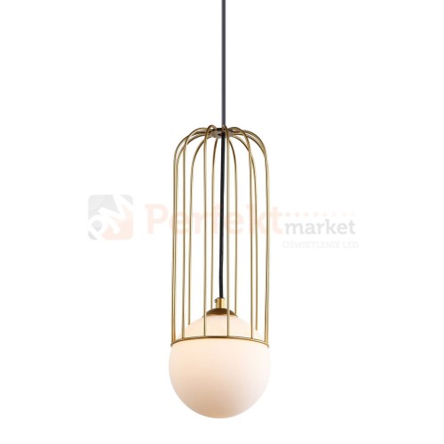 MDM-3938_1 GD.jpg